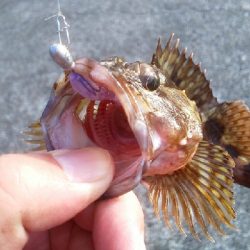 春を迎えられた