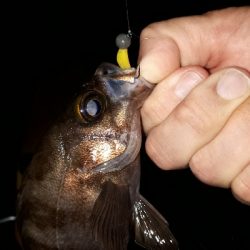 雨が降ろうがそれがなんだぁー