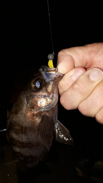 雨が降ろうがそれがなんだぁー