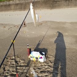 今年、初めての爆釣