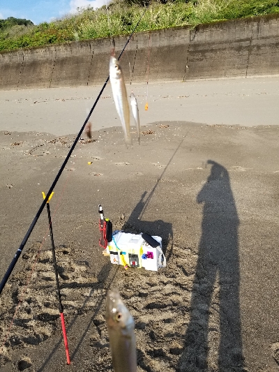 今年、初めての爆釣