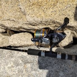 フラットフィッシュゲームNo.2