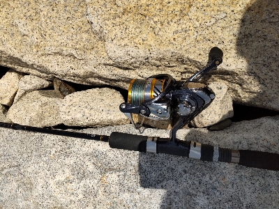 フラットフィッシュゲームNo.2