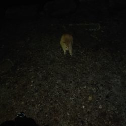 久々のツレと釣行