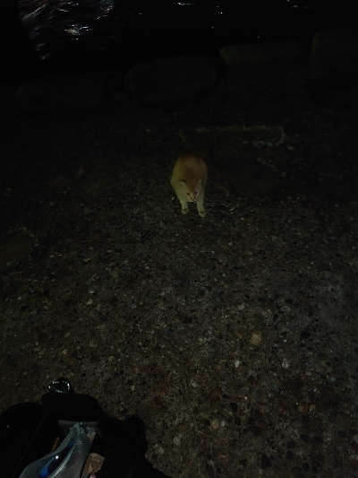 久々のツレと釣行