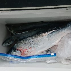 久しぶりのショアジギング