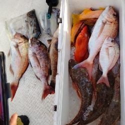 久しぶりのオフショア釣行!