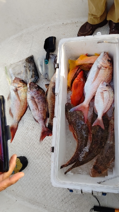 久しぶりのオフショア釣行!