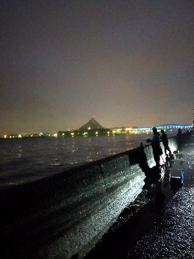 腹パンタチウオ