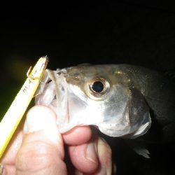 三密を避けて～