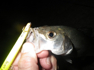 三密を避けて～