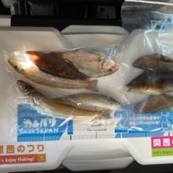 カレイ釣り、キス釣り