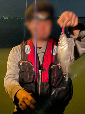 シーバス&ニゴイ