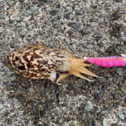 GW初日のリベンジマッチ!