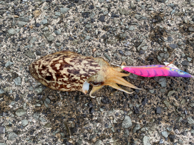 GW初日のリベンジマッチ!