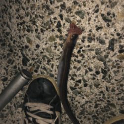 初めて行きました