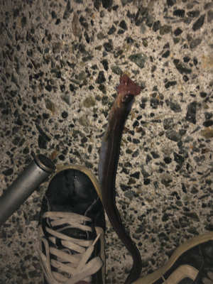 初めて行きました