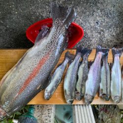 黒保根渓流フィッシング