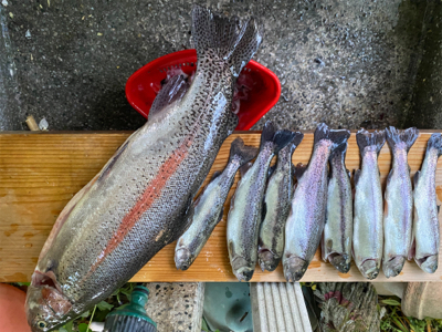 黒保根渓流フィッシング