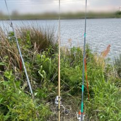 ちょっと早めのウサギ釣り