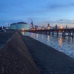 アジング　デイはジグ、ナイトはジグヘッド