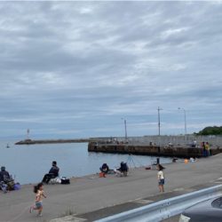 キス釣り、カサゴ釣り