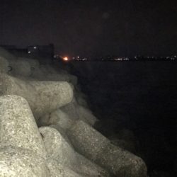 念願のアオリイカ キロUP\(^o^)/