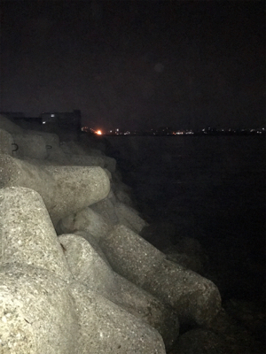 念願のアオリイカ キロUP\(^o^)/