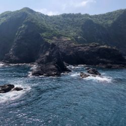 沖磯でヒラメとハタ！！！