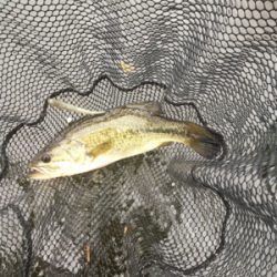 トップが熱かった！