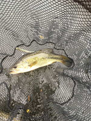 トップが熱かった！