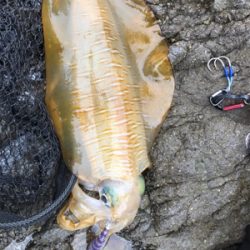 自分的に大漁(*゚∀゚*)