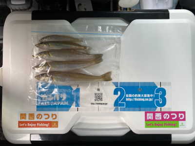 キス、五目釣り、