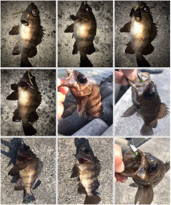 2021ライトゲーム第15戦