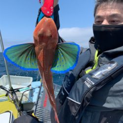 友人とボート釣行、ジギングでスズキ‼︎