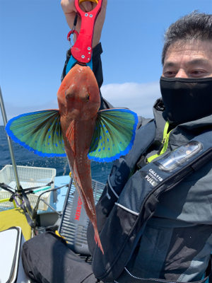 友人とボート釣行、ジギングでスズキ‼︎