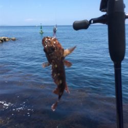 春昼間のライトゲーム❗️