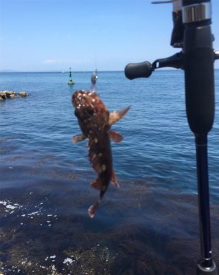 春昼間のライトゲーム❗️