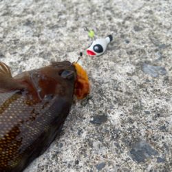 今シーズン初の沖堤！