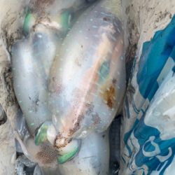 いきなりの大荒れ