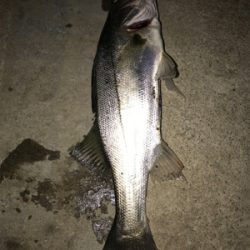 4ヶ月振りの70UP！