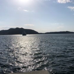 アジング、メバリング