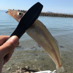 ちょい投げ自己記録!!