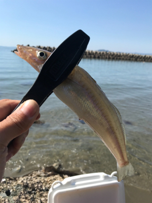 ちょい投げ自己記録!!