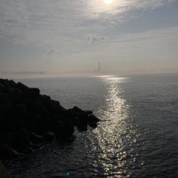 チヌ来ずカンダイ