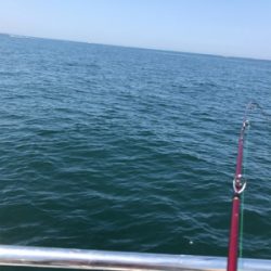 オクトパッスィング