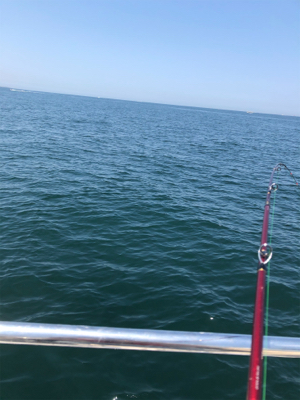 オクトパッスィング