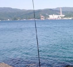 人は多いが魚はいない