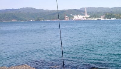 人は多いが魚はいない