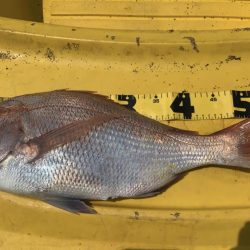 はじめてのカヤックフィッシング